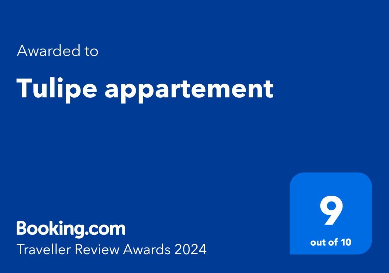 Tulipe Appartement Oran Eksteriør billede